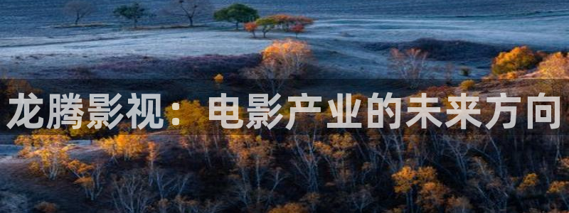 策驰影院 电视剧免费高清