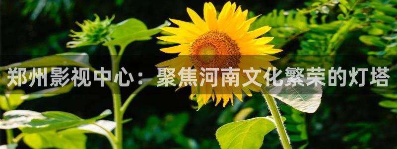 青春抛物线策驰影院