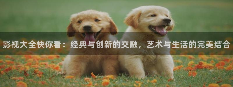开端策驰影院：影视大全快你看：经典与创新的交融，艺术与生活的完美结合