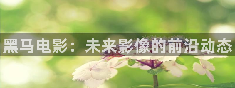 美人心计策驰影院：黑马电影：未来影像的前沿动态